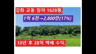 강화 교동 임야 1억 6천→2,800만(17%) 10년 후 28억 백배 수익