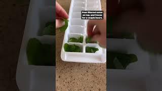 How to Freeze Mint #ibs #mealprep #growyourownfood #peppermint #mojito #growingherbs