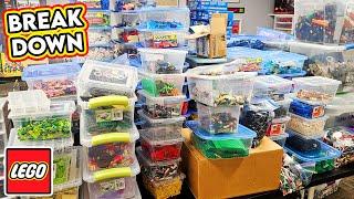 My Biggest BULK LEGO BUY! Finding Gems and Sorting