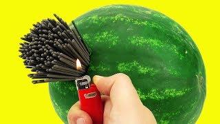 EXPERIMENT: WATERMELON vs FIRECRACKS