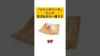 【雑学ショート】即席めんとニンニクとピーナッツとラーメン【面白雑学】 #shorts