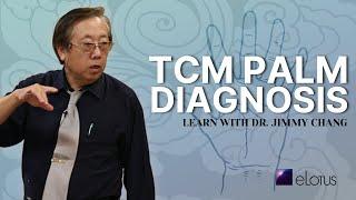 TCM Palm Diagnosis with Dr. Jimmy Chang