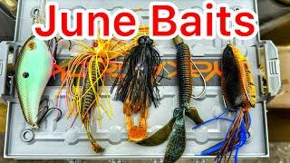 5 Baits for Bass Fishing in June