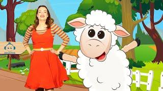 Daisy Dot - Mary Had a Little Lamb 