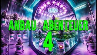 Cannabis Anbau-Abenteuer 4 | Woche 7 Tag 46