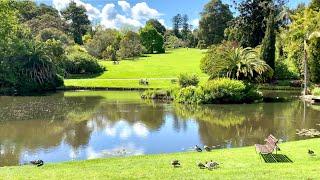 墨尔本生活｜皇家植物园｜舒适休闲的周末 | Explore Melbourne Royal Botanical Garden￼