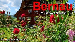 Bernau im Schwarzwald