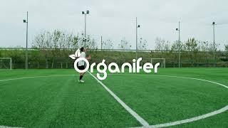 Lawn Fertiliser All In One • Organifer #fertilisers #gardening #naturalfertiliser