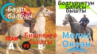 Мелис Океан