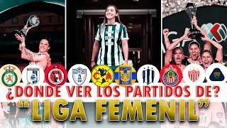 ¡Llega el Apertura 2024 de la Liga MX Femenil! ¿En dónde ver tu equipo favorito?