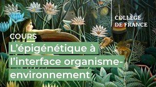 L’épigénétique à l’interface organisme-environnement (1) - Edith Heard (2023-2024)