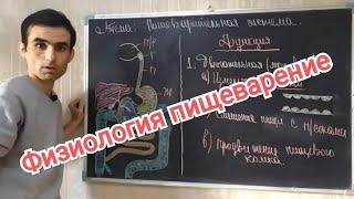 Физиология пищеварительной системы. Общая характеристика. Physiology of the digestive system.