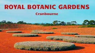 Exploring The Stunning Royal Botanic Gardens At Cranbourne II Australia