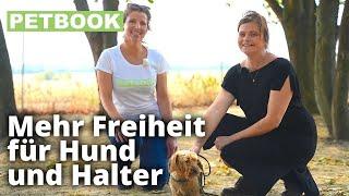 Hunden Rückruf beibringen | Dogschool | PETBOOK