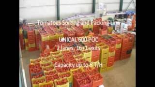 ΗΛΕΚΤΡΟΝΙΚΟΣ ΤΑΞΙΝΟΜΗΤΗΣ ΝΤΟΜΑΤΑΣ-Sorting and packing line for tomatoes with electronic sizer