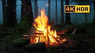 4K HDR Campfire in foggy forest by the river 100% Authentic Sounds