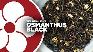 Osmanthus Black