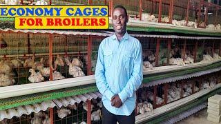 UFUGAJI WA KUKU WA NYAMA WA KISASA-BROILER KWA KUTUMIA ECONOMY CHICKEN CAGES /LOCAL CAGES