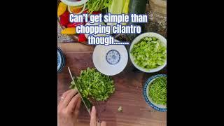 Chopping cilantro is the easiest of them job….