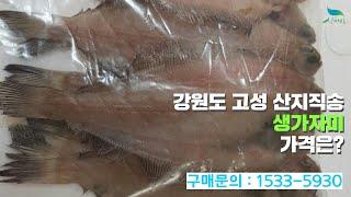 [신바람 수산물 협력업체 판매상품 - 강원도 고성 산지직송 생 가자미 / 손질가마지 판매 - 중고트랙터 중고농기계 경운기 관리기 스키로더 굴삭기 화물트럭 매매 직거래 장터 사이트