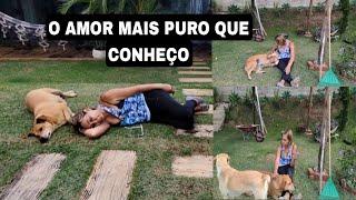 MEUS CACHORROS NAO SOFREM,QUEM SOFREM SAO OS ABANDONADOS A PRÒPRIA SORTE... DOMINGÃO. Cacau Schwarz