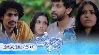 Jaanu | Episode 480 - (2024-12-26) | ITN