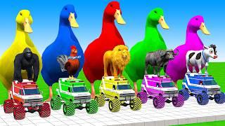 5 Giant Duck Cartoon,Cow,Lion,T-Rex,Husky,Bear,Monkey Paint Wild Animals Crossing Fountain Animation