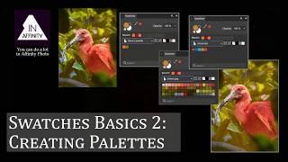 Swatches Basics 2: Creating Palettes in Affinity Photo