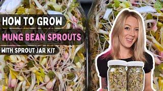 How to Sprout Mung Bean seeds at home with Sprouting Jar Kit | Soilless