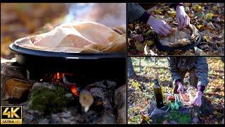 SALMON STEWED IN WINE - WITH VEGETABLES | BUSHCRAFT STYLE | AMAZING 4K | CANON EOS R6
