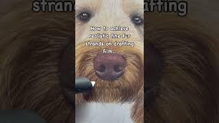 How to creative realistic fur! ️ #realisticart #dogdrawing #slicetool