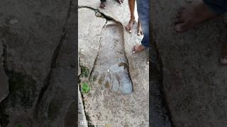 Footprint Of Giant In Past#viral #ancient #history #world #travel #ancients #lostworld #viral