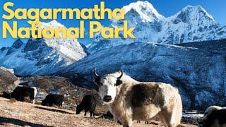 Exploring the Majestic Sagarmatha National Park, Nepal