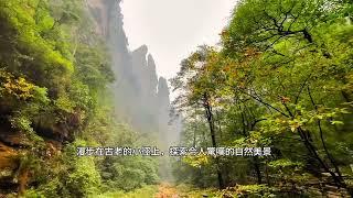 Welcome to Zhangjiajie: A Magical Destination for Global Explorers