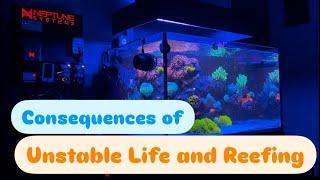 Consequences of unstable Life &  Reefing - REEF UPDATE | EP.41