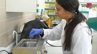 UMH TV - La UMH, entre las mejores universidades españolas en el área de Medicina