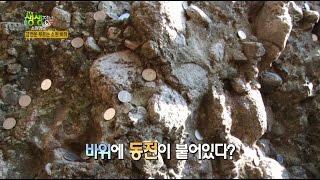 2TV 생생정보 플러스 - 소원명당, 금전운 부르는 소원 바위.20160104