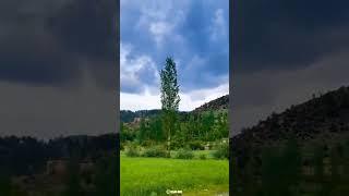 Exploring nature beauty of Afghanistan  #shorts #youtubeshorts