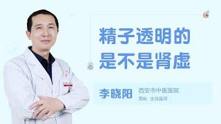 精子透明的是不是肾虚 99健康网 【男科】【李晓阳】