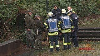 Wildschweinjagd in der Siegener Innenstadt (Siegen/NRW)