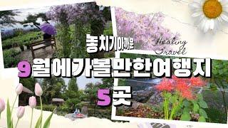 [4K]9월 국내여행지 5곳/9월에가볼만한곳/9월 여행지 추천