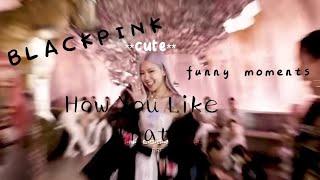 BLΛƆKPIИK How You Like That funny moments | Signless Mouse | #blackpink #blackpinkfunnymoments #kpop