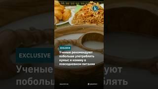 Ученые рекомендуют побольше употреблять кумыс и конину в повседневном питании #kazinform #новости