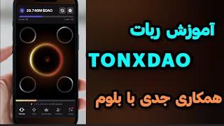 آموزش ربات tonxdao | و قسمت syndicate | چطور dao درست کنیم؟