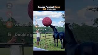 Ranked Funniest Horse Ball Moments ever!