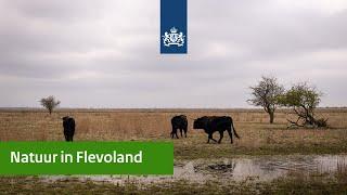 Natuurbeheer | Minister van der Wal op bezoek bij de Marker Wadden en Oostvaardersplassen