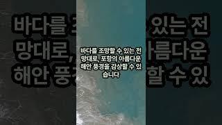 포항 가볼만한곳 TOP10