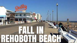 Things to Do In Rehoboth Beach (Fall Edition) | Fall in Rehoboth Beach | Living in Coastal Delaware