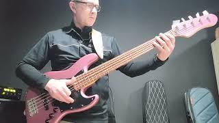 Alleva-Coppolo LG5 Standard Plus in Burgundy Mist at John Fox Bass