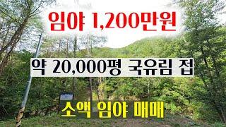 [1399][임야매매] 매가 1,200만원으로 약 20,000평의 국유림이 접하고 있는 소액 임야 입니다.